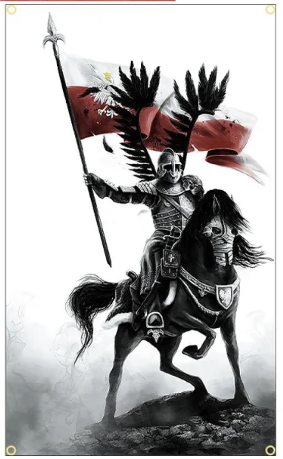 Polish Flags - Polski Flagi